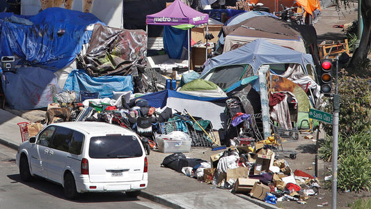 California's Growing Homelessness Epidemic